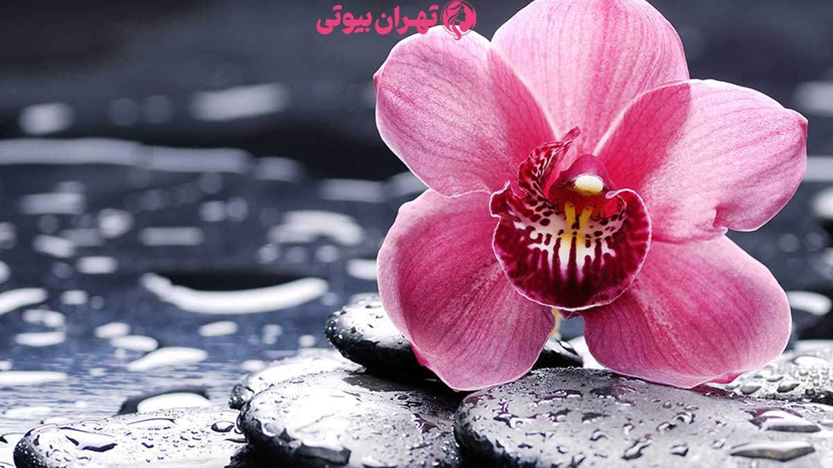 10 بهترین دکتر تنگ کردن واژن ( واژینوپلاستی) در تهران