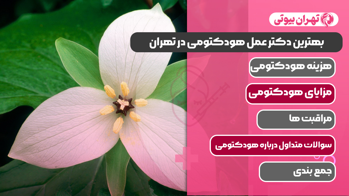10 بهترین دکتر عمل هودکتومی در تهران
