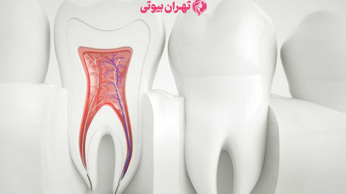 10 بهترین متخصص درمان ریشه در تهران